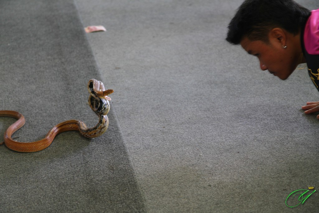 Тайланд. Пхукет 2013. Улица, люди, жизнь…