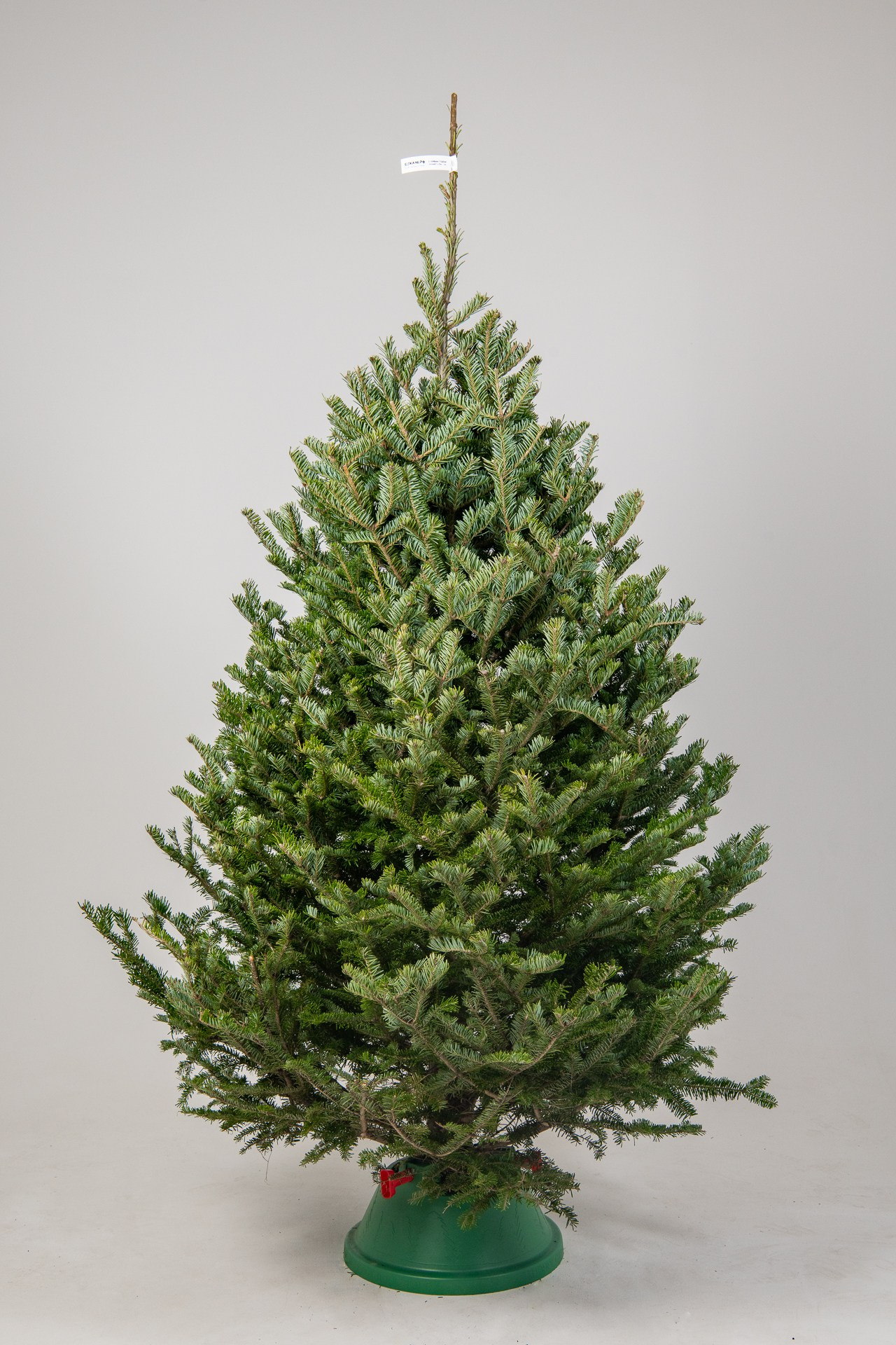 Предметная съемка елок. Фомина Елена Свадебный и семейный фотограф