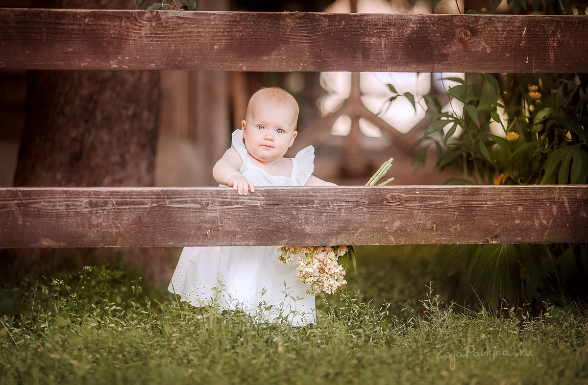 הנחות. צלם ואמן ילדים ומשפחה