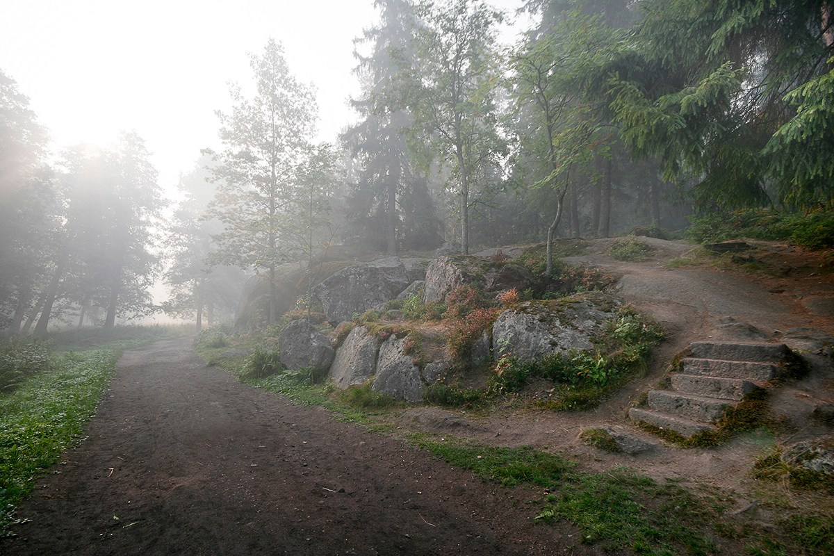 Парк Монрепо. Фотограф Василий Буланов