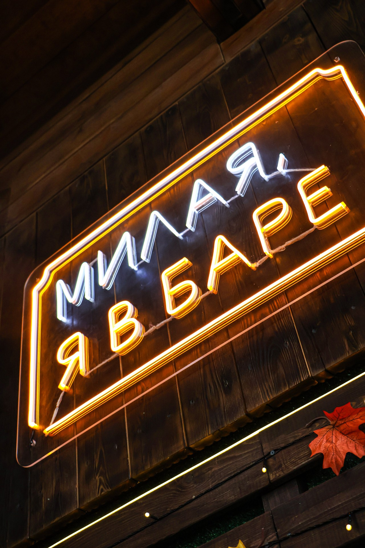 «Барон» гастробар, г. Белокуриха. Контент фотограф Дмитрий Борисов