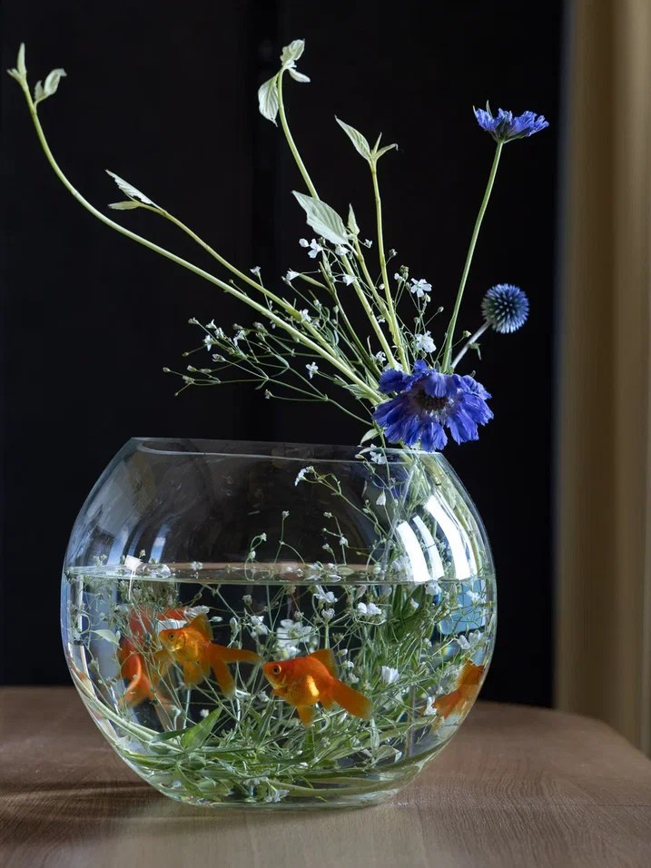 Дизайн интерьера квартиры ЖК «Green Wood» в Тольятти. Студия дизайна интерьера «Строчка» | Москва, Санкт-Петербург, Самара, Казань, Тольятти, Ульяновск и другие города России