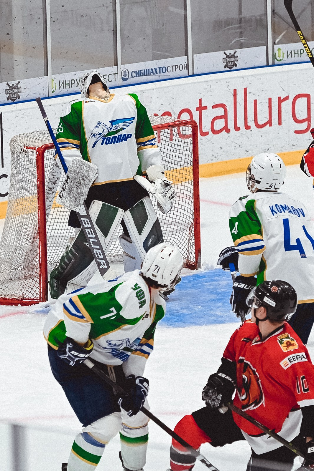 Медведи-Толпар. ProfotoNK