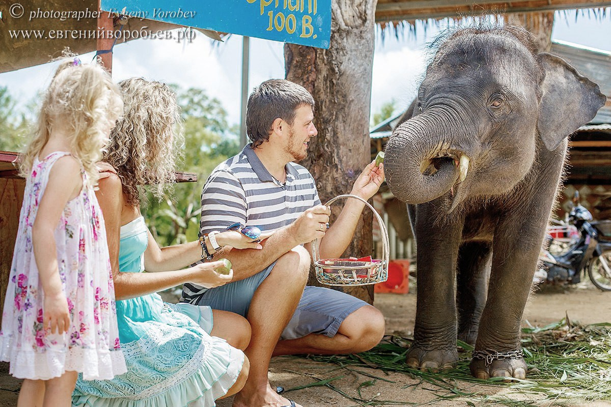 семейная фотосессия со слоном Пхукет фотограф пляж Ката Карон Найхарн Патонг Найхарн Сурин море счастье радость идея место образ пример фото позы для фотосессии Phuket Naiharn Kata Karon Patong Surin заказать фотосъёмку цена детская фотосессия слоненок