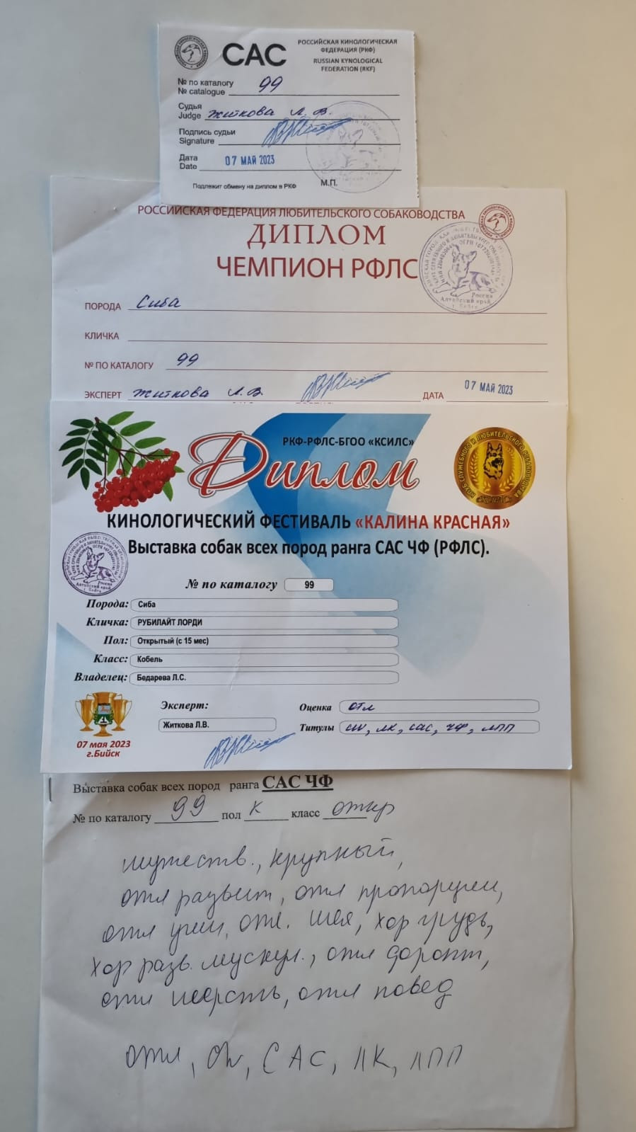 Сиба питомник RUBYLIGHT. Американская акита I Сиба ину I Питомник RUBYLIGHT