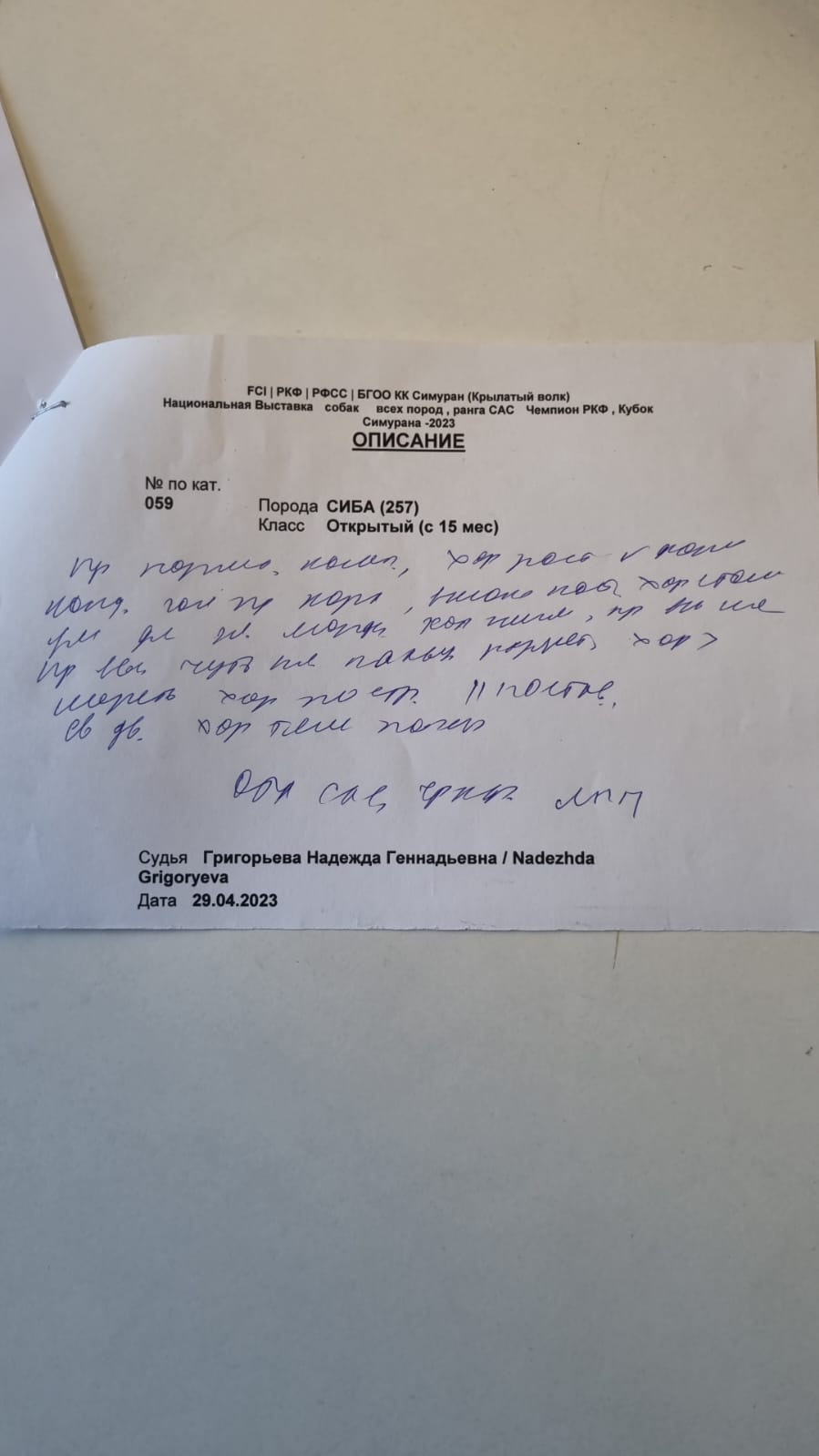 Сиба питомник RUBYLIGHT. Американская акита I Сиба ину I Питомник RUBYLIGHT