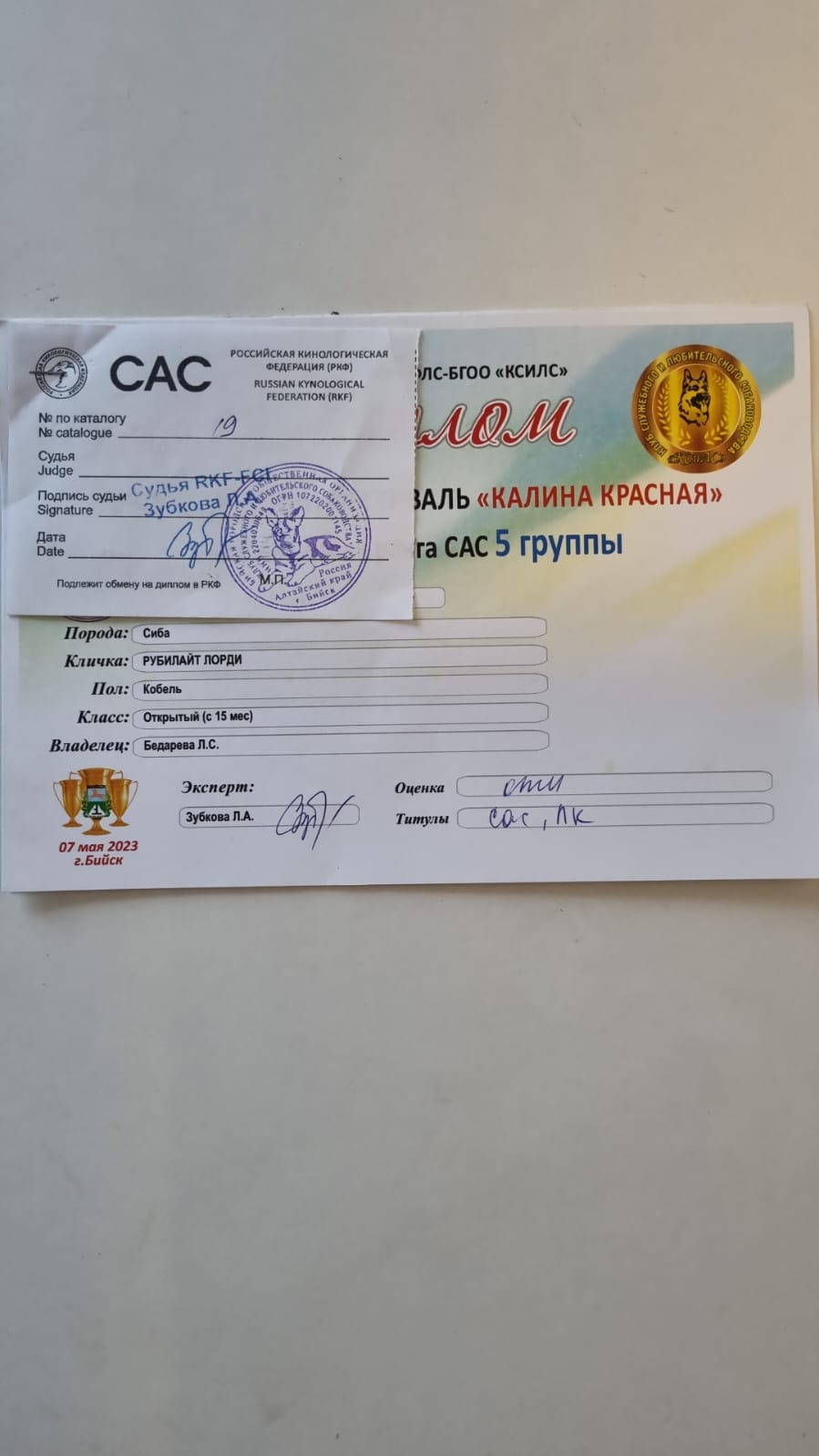 Сиба питомник RUBYLIGHT. Американская акита I Сиба ину I Питомник RUBYLIGHT