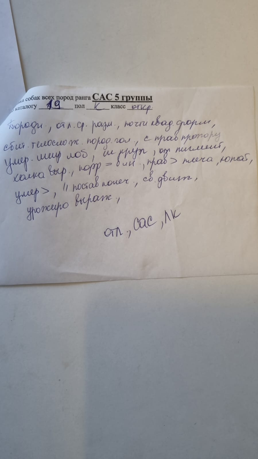 Сиба питомник RUBYLIGHT. Американская акита I Сиба ину I Питомник RUBYLIGHT