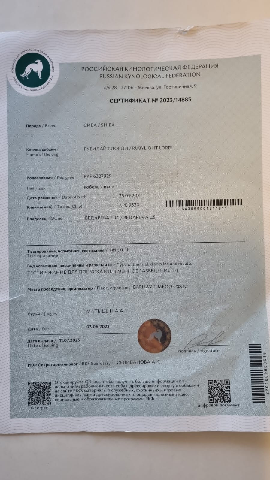 Сиба питомник RUBYLIGHT. Американская акита I Сиба ину I Питомник RUBYLIGHT