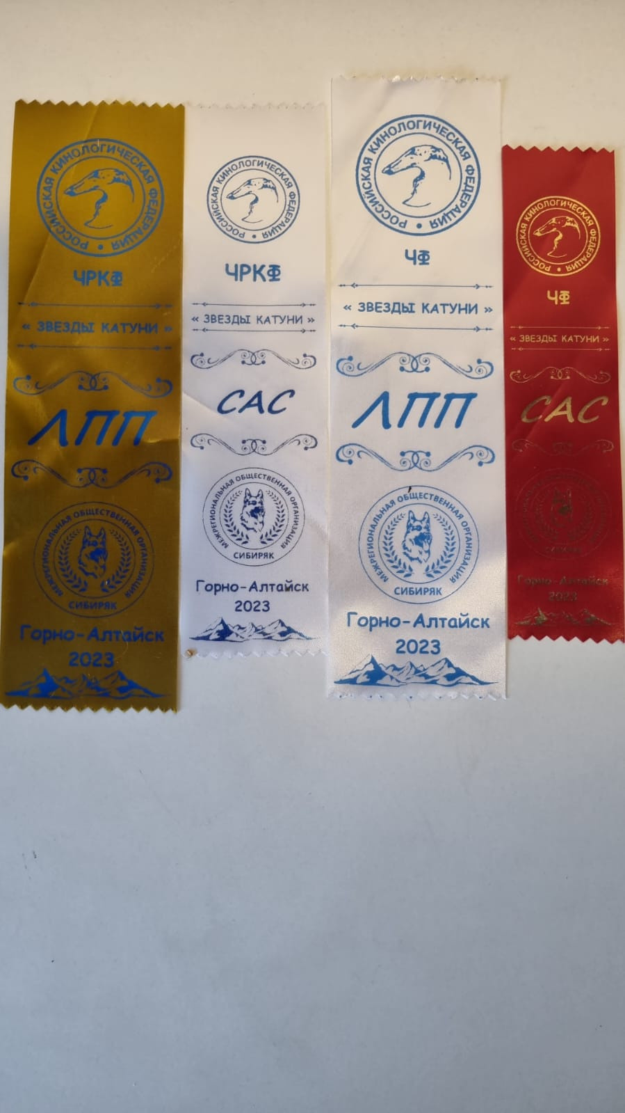 Сиба питомник RUBYLIGHT. Американская акита I Сиба ину I Питомник RUBYLIGHT