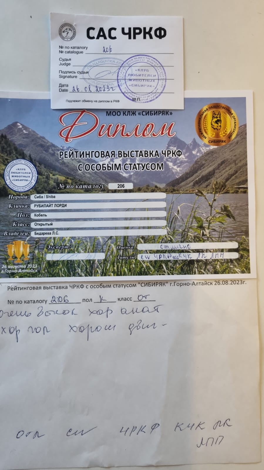 Сиба питомник RUBYLIGHT. Американская акита I Сиба ину I Питомник RUBYLIGHT