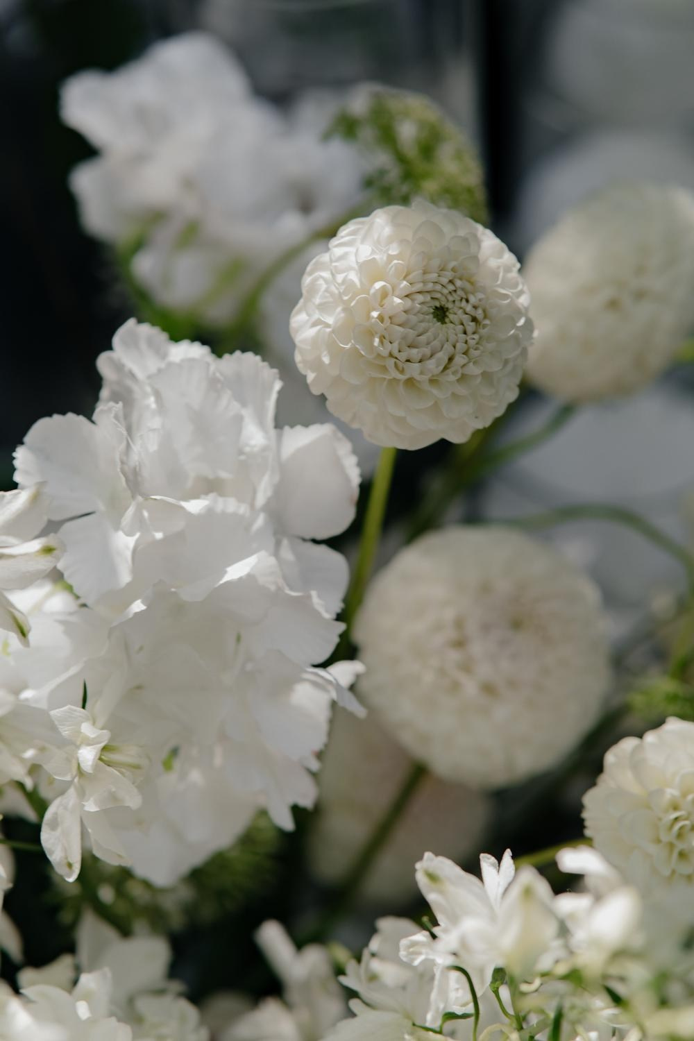 Hide. Свадебный фотограф Москва