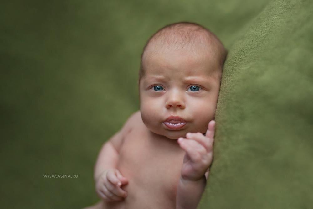 Новорожденные. Фотограф новорожденных в Москве Ирина Асина