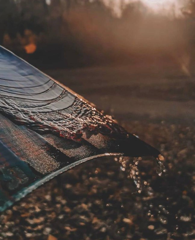 Интенсив «ТВОРИ ПУТЕШЕСТВИЯ». Фотограф Светлана Анисимова обучение фото видео рилс