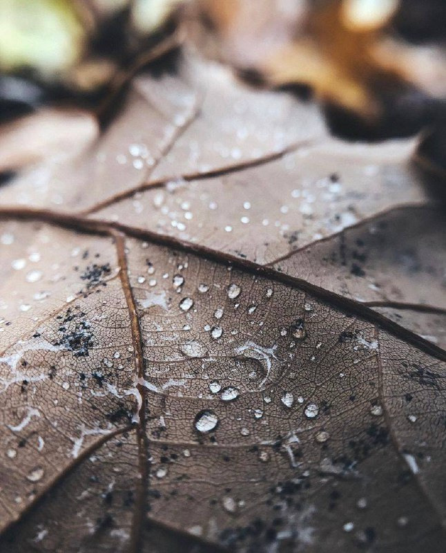 Интенсив «ТВОРИ ПУТЕШЕСТВИЯ». Фотограф Светлана Анисимова обучение фото видео рилс