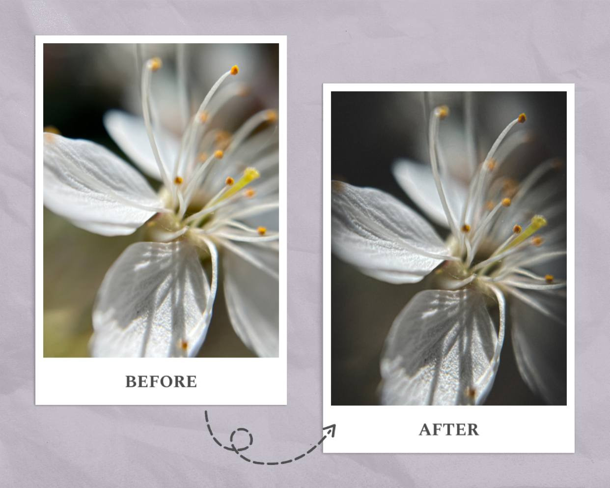 Набор пресетов «ЛЕТО». Фотограф Светлана Анисимова обучение фото видео рилс