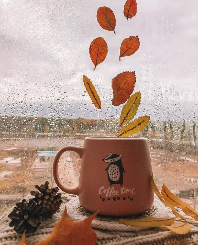 Интенсив «ТВОРИ ЛЕТО». Фотограф Светлана Анисимова обучение фото видео рилс