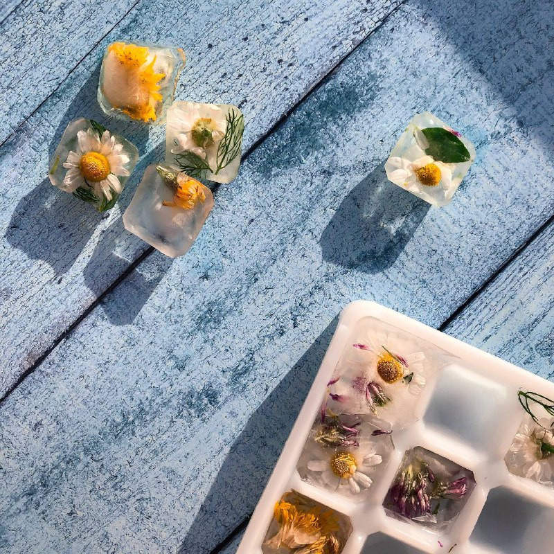 Клуб «ТВОРИ». Фотограф Светлана Анисимова обучение фото видео рилс