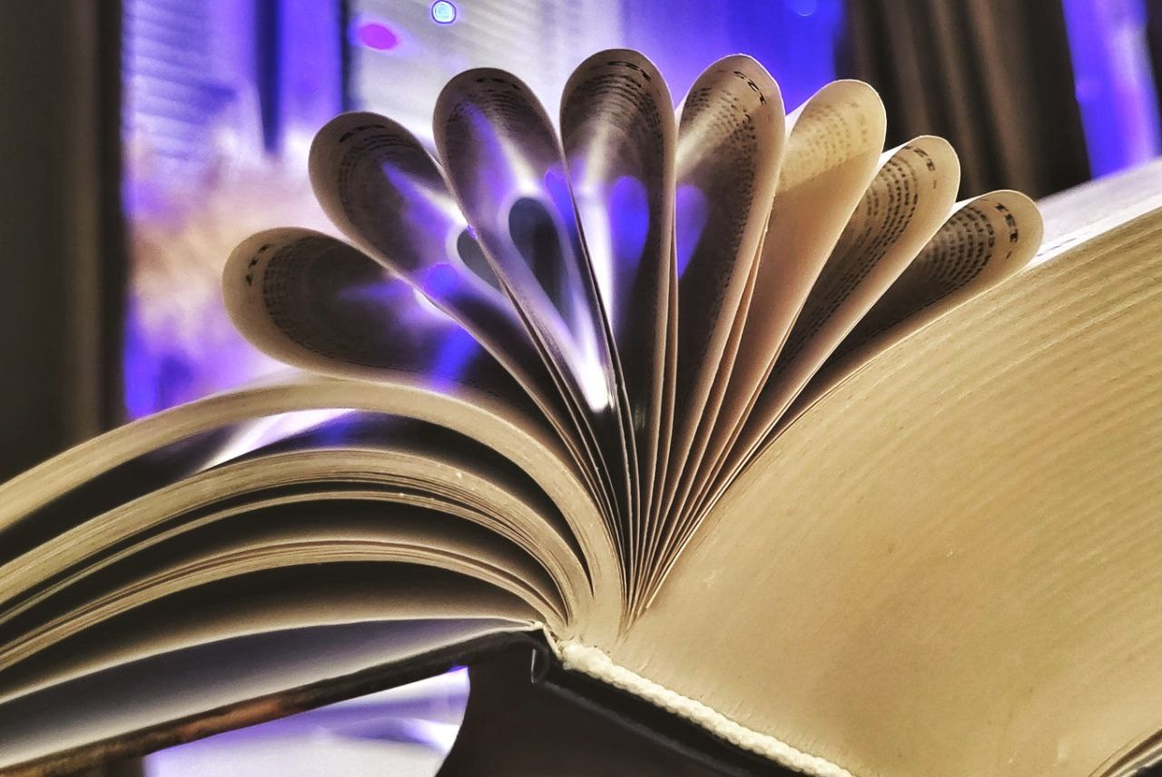 Проект «366»|2024|Фото каждый день. LENA GRACE photographer ||ЛЕНА ГРЭЙС фотограф