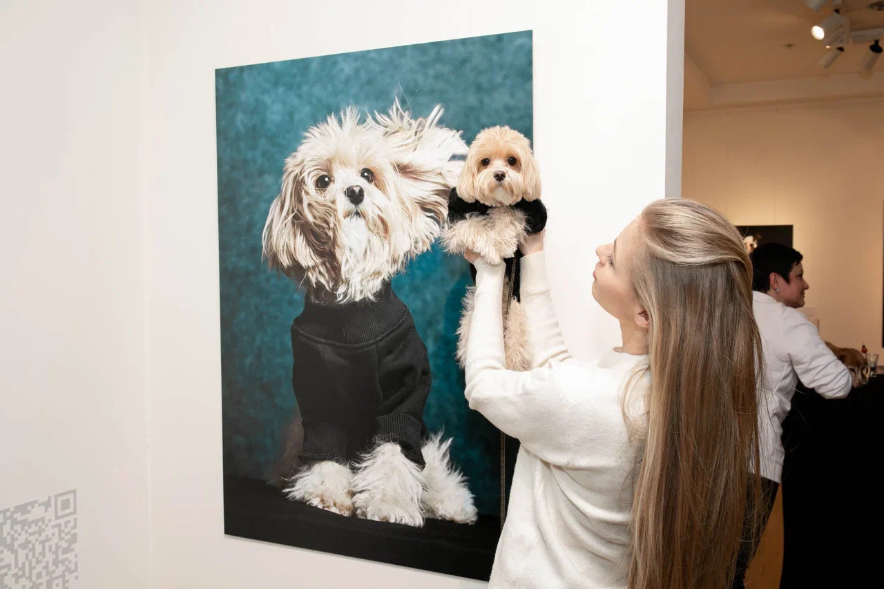 Выставка в Галерее Классической фотографии «У любви четыре лапы». Фотограф Михаил Стенин