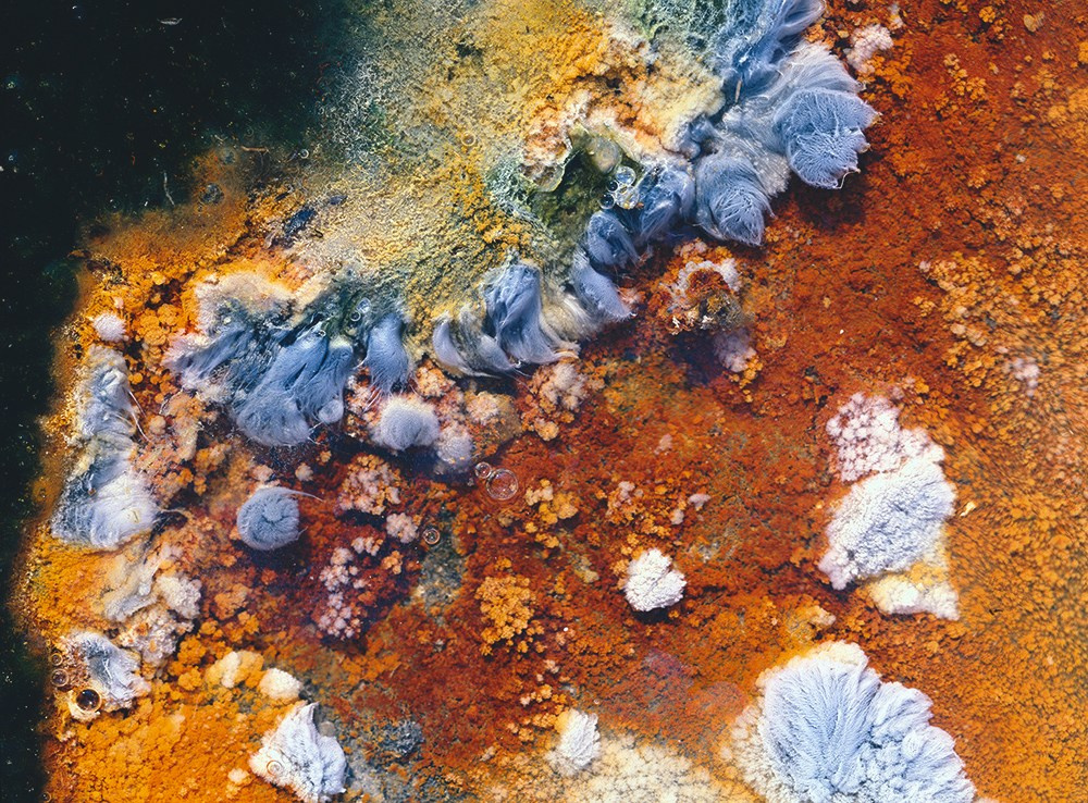 Фактуры. ВАДИМ ГИППЕНРЕЙТЕР — ВЕЛИКИЙ ФОТОГРАФ ЗЕМЛИ РУССКОЙ