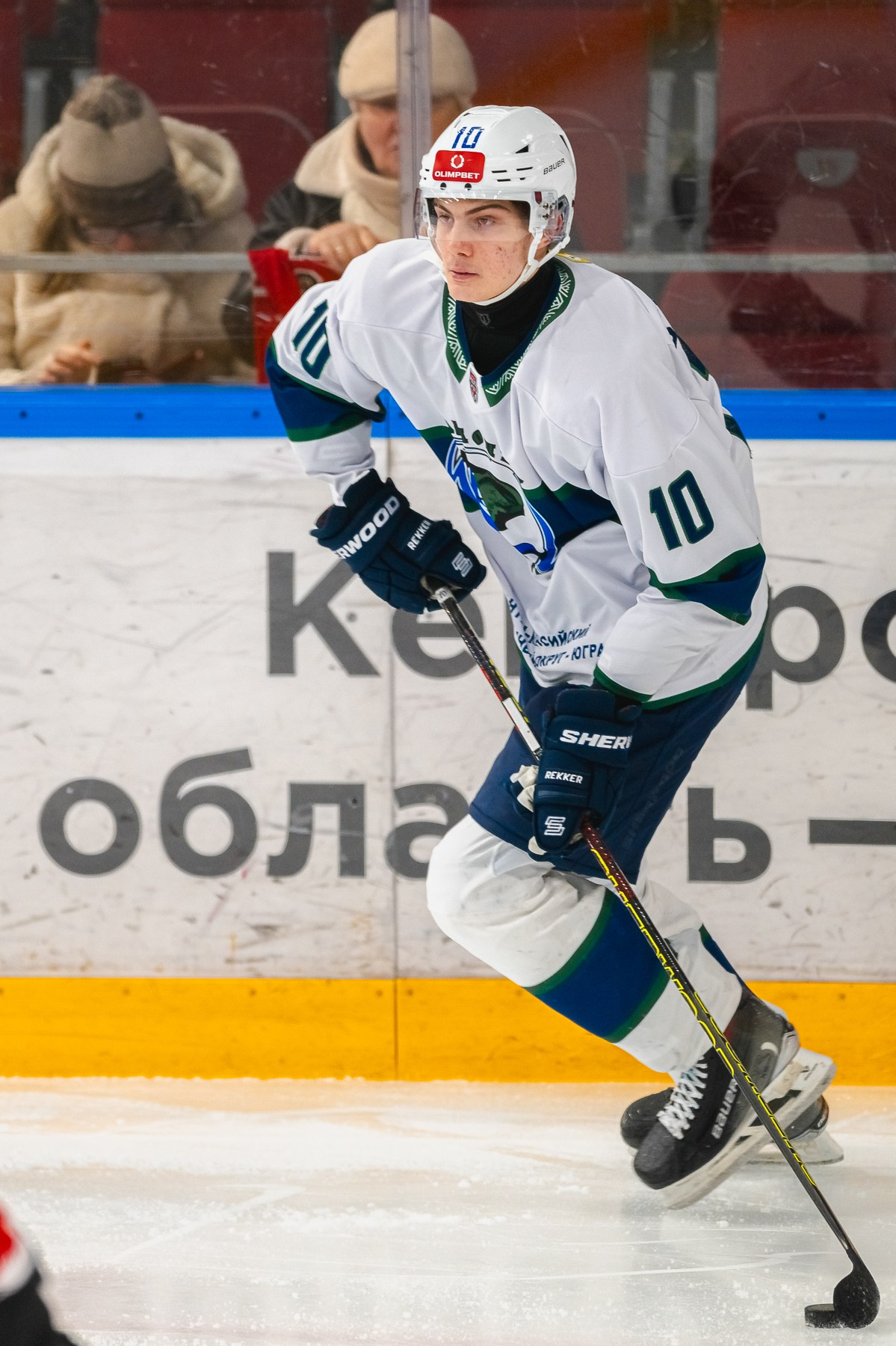 Медведи-Мамонты Югры. ProfotoNK