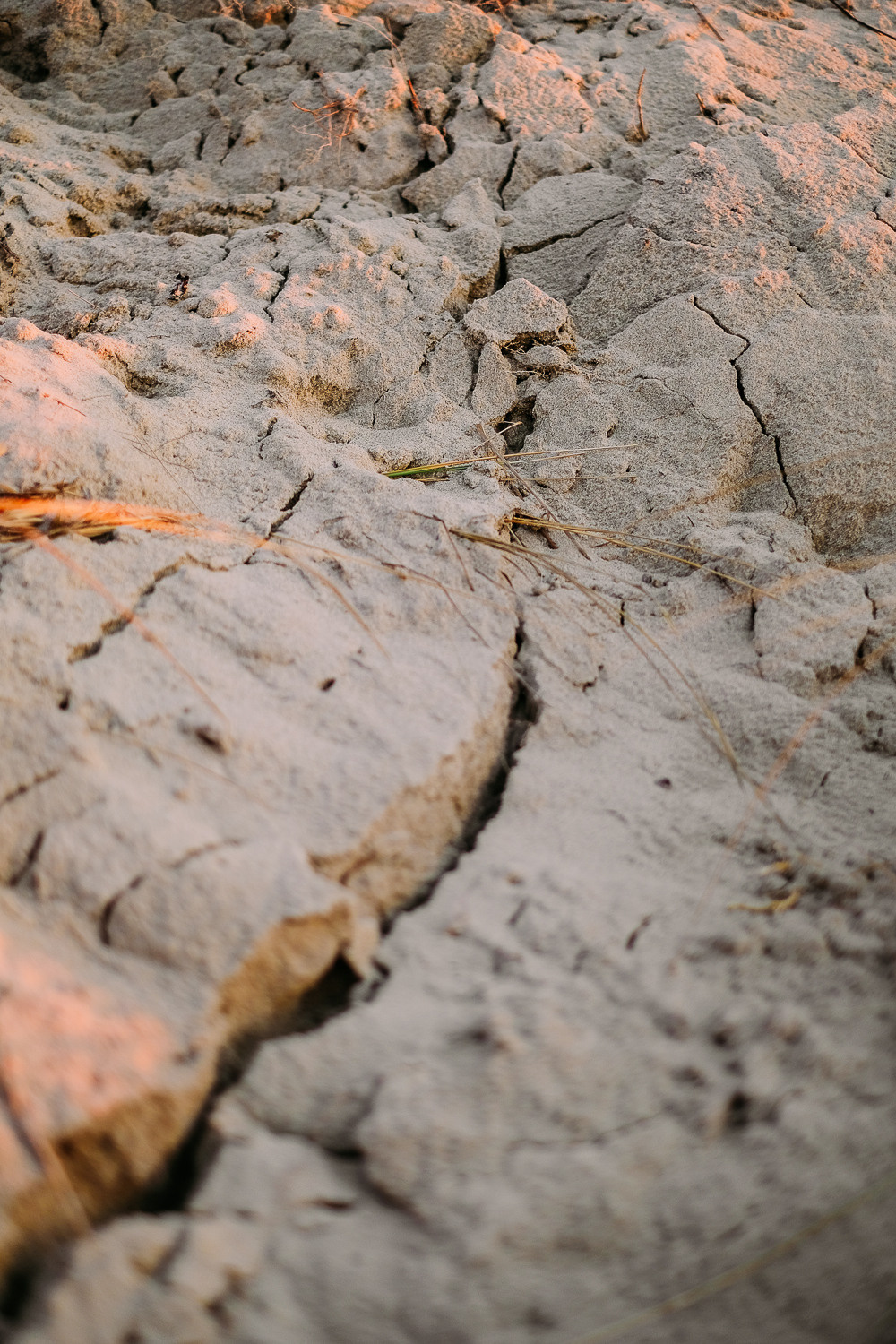 Это круги на моей воде. Xenia Ryabova