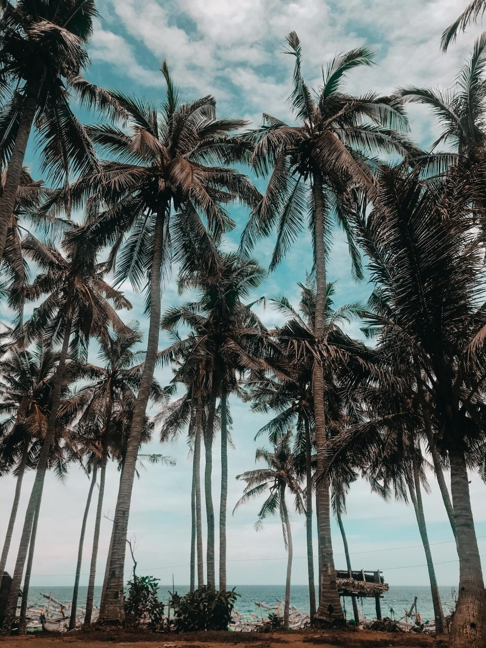 Bali. Фотограф Юлия Курочкина