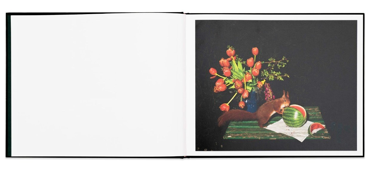 ОБЗОР АКТУАЛЬНЫХ ФОТОКНИГ: Листы I–XXXI. Самоорганизация Низина