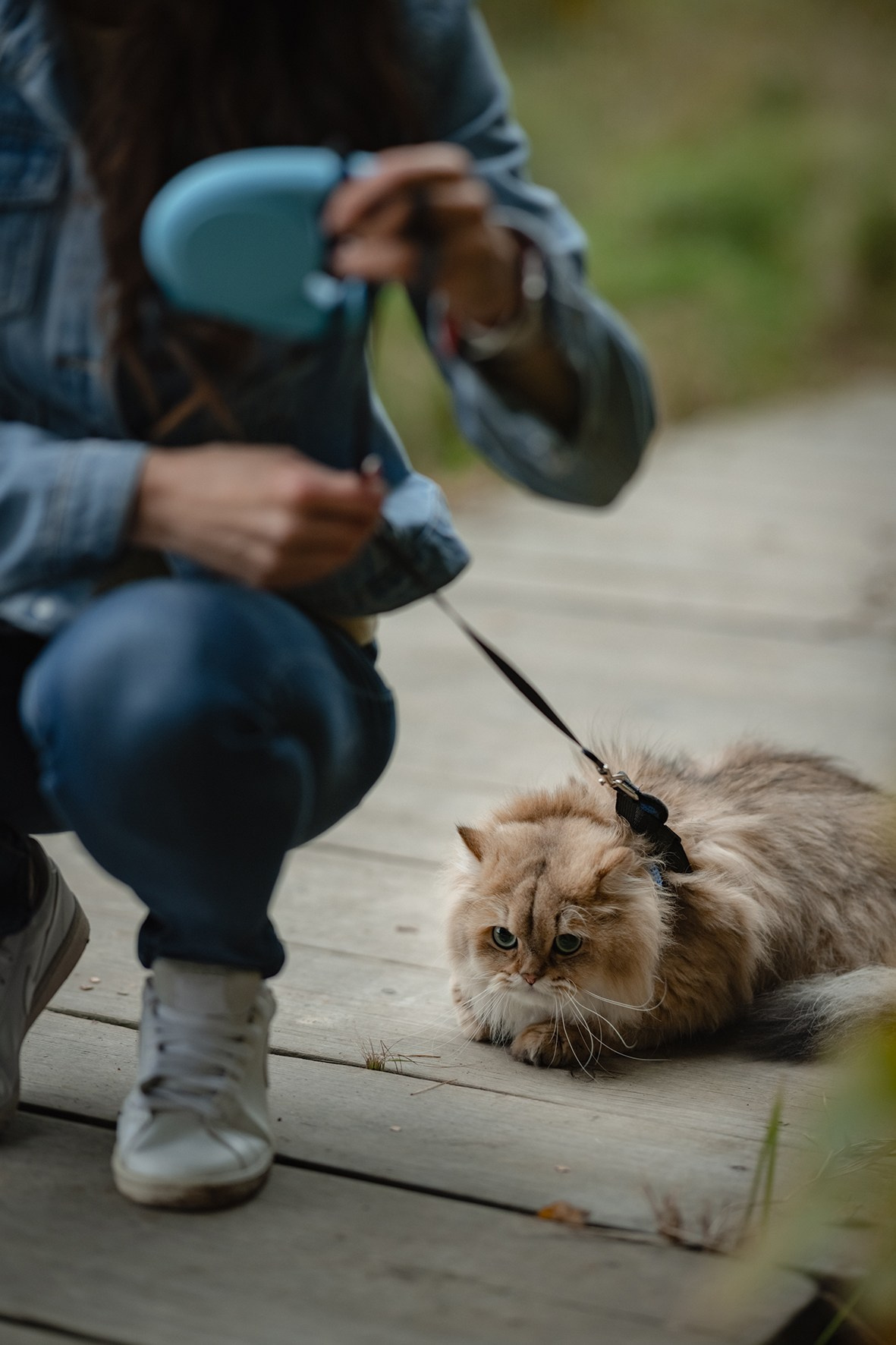 Мещерский парк. Семейный фотограф и анималист в Москве и Московской области