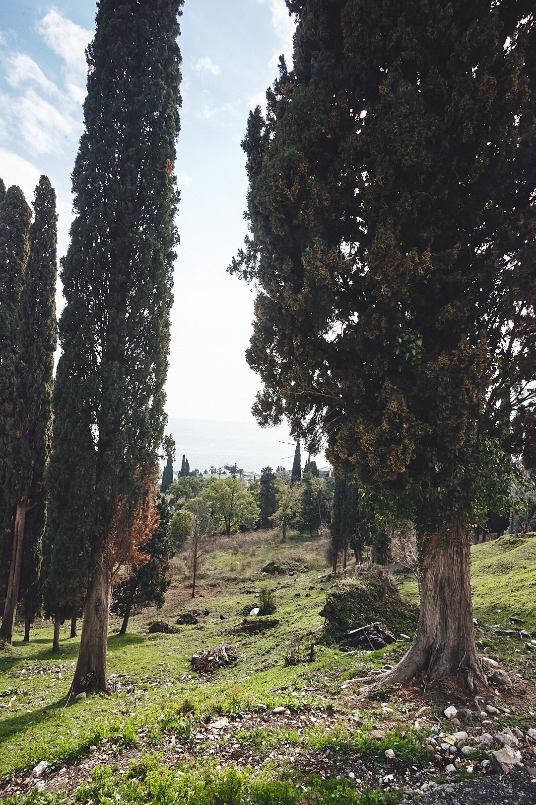 Фотографии с поездки в Абхазию в Новый Афон. Фотограф в Сочи Катя Гончарова