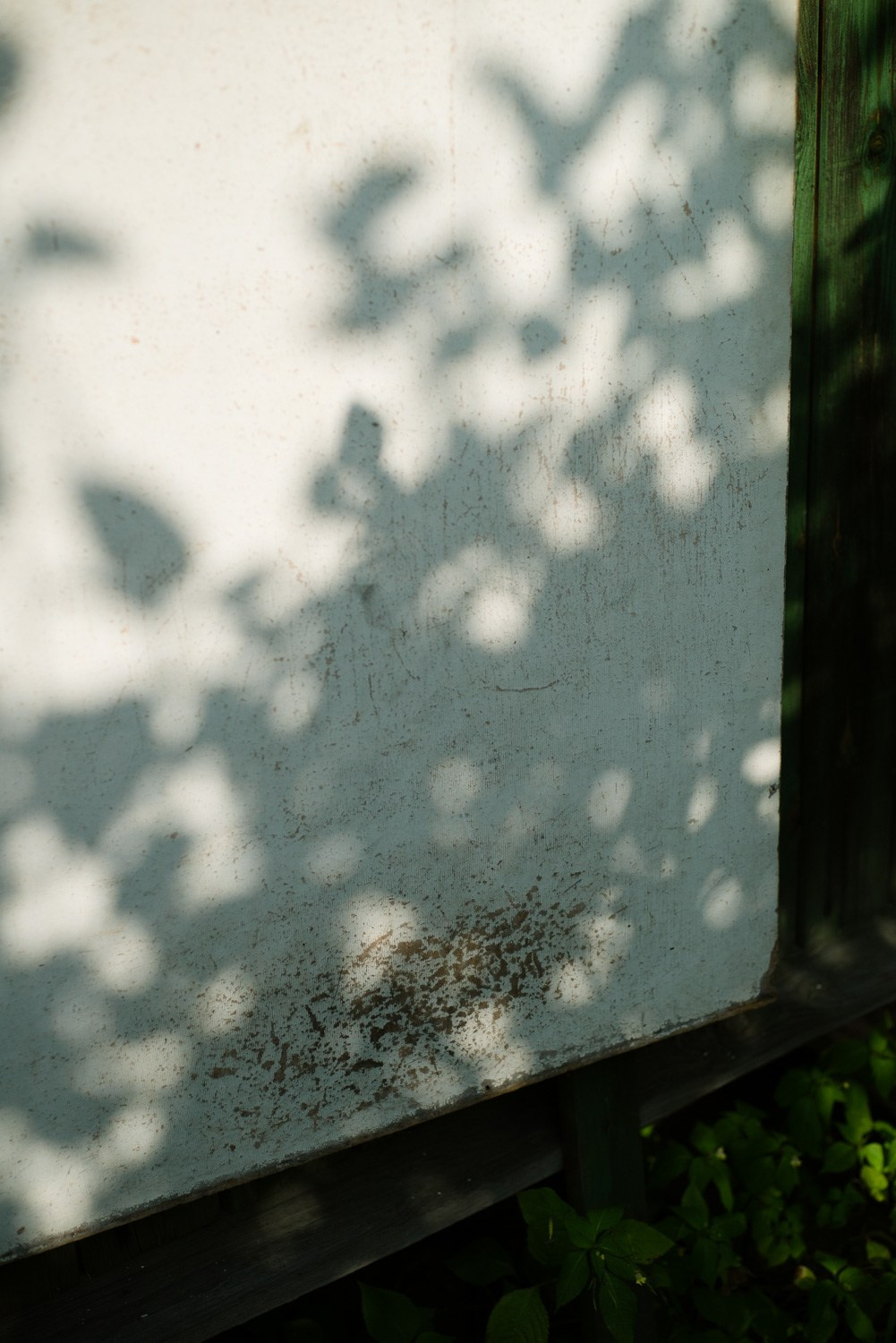 Summer Recurrences. Пётр Антонов