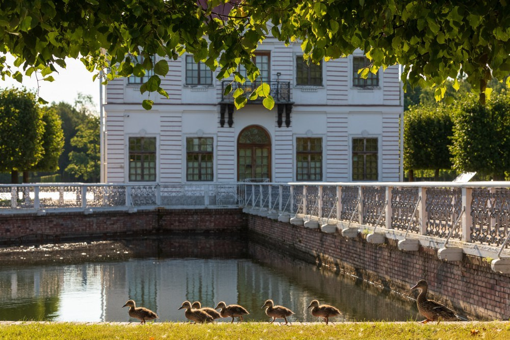 Локации в Петергофе