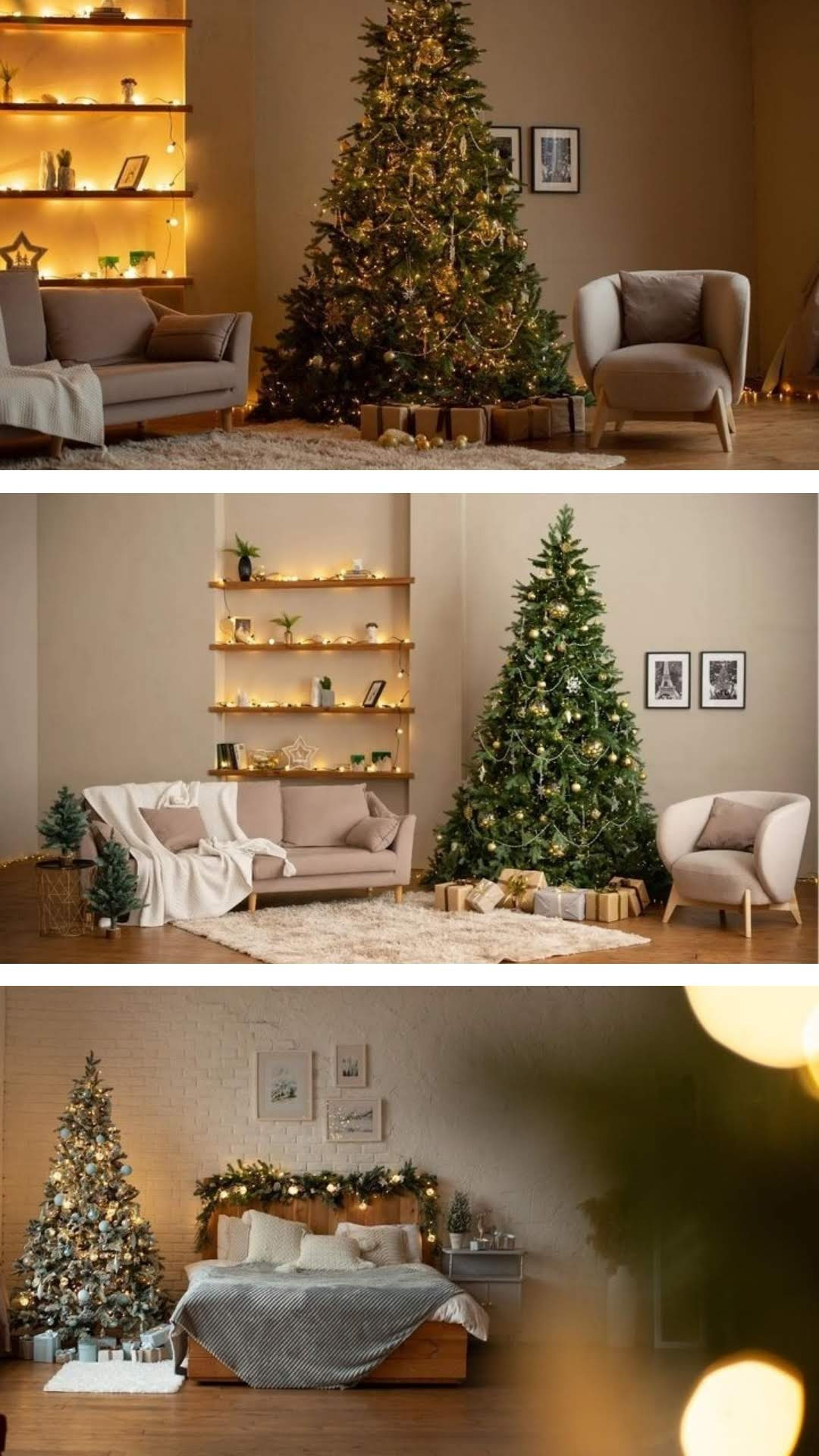 Студии 2022. Свадебный фотограф Елена Рякина