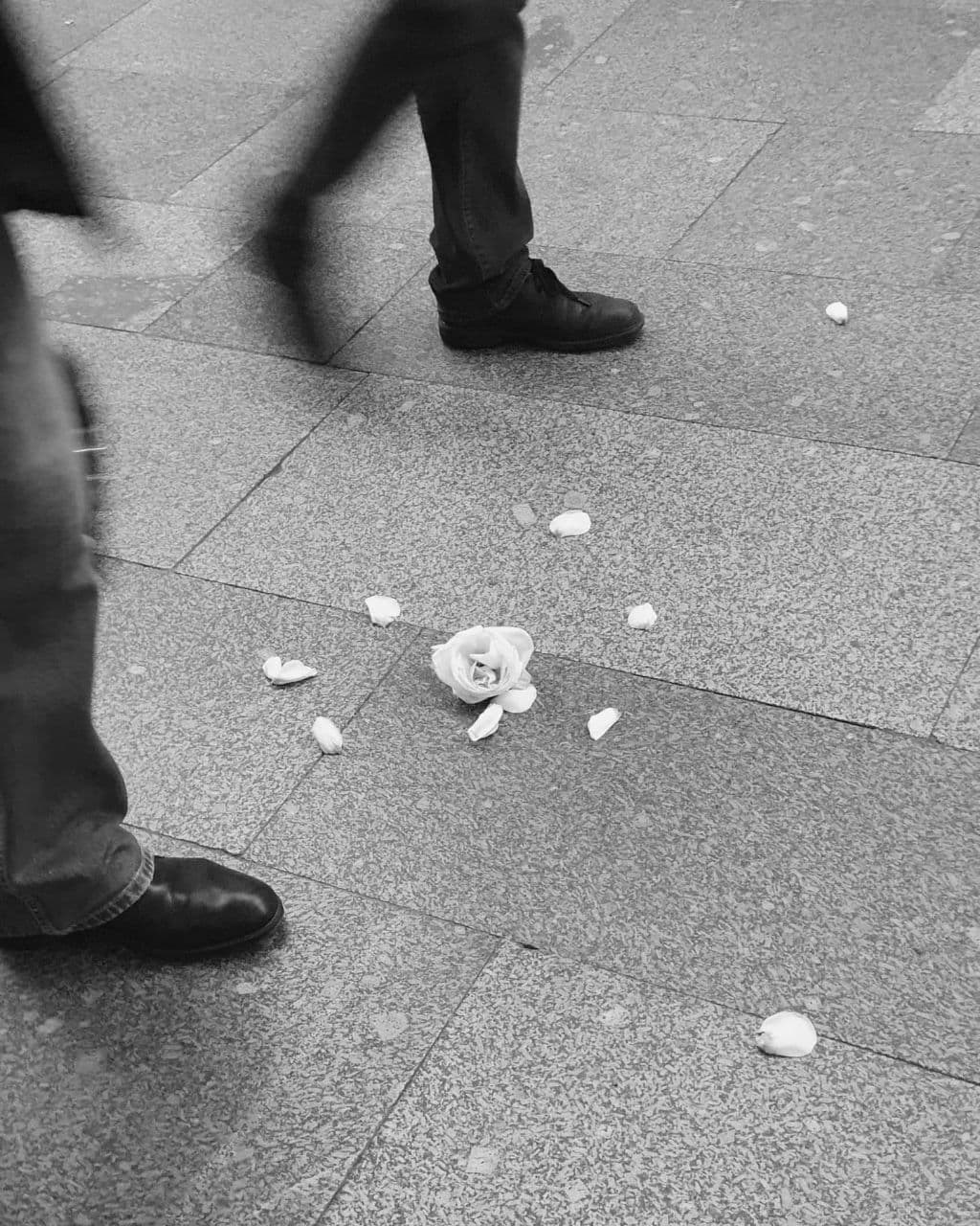 Самый сладкий сон. Любовь Моргасова [LU SPRING]: Фотограф и куратор