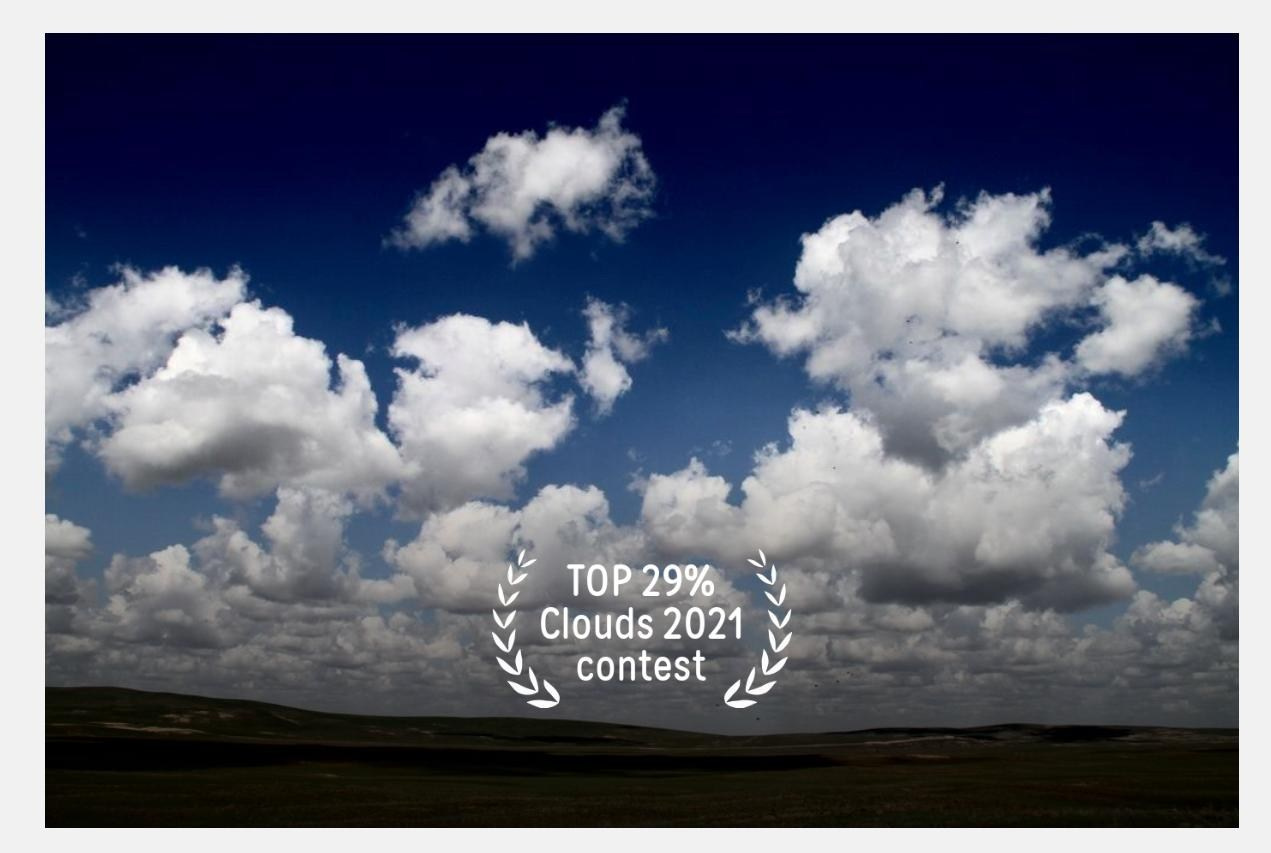 35AWARDS Тематические фотоконкурсы. Семейный и детский фотограф в Алматы Юровских Инесса