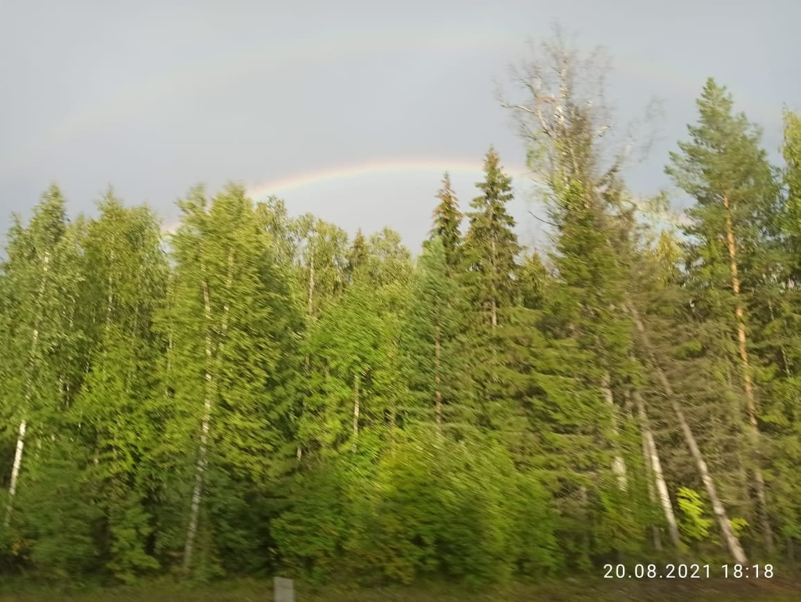 Карелия | 20-22.08.21. Галерея Фантим