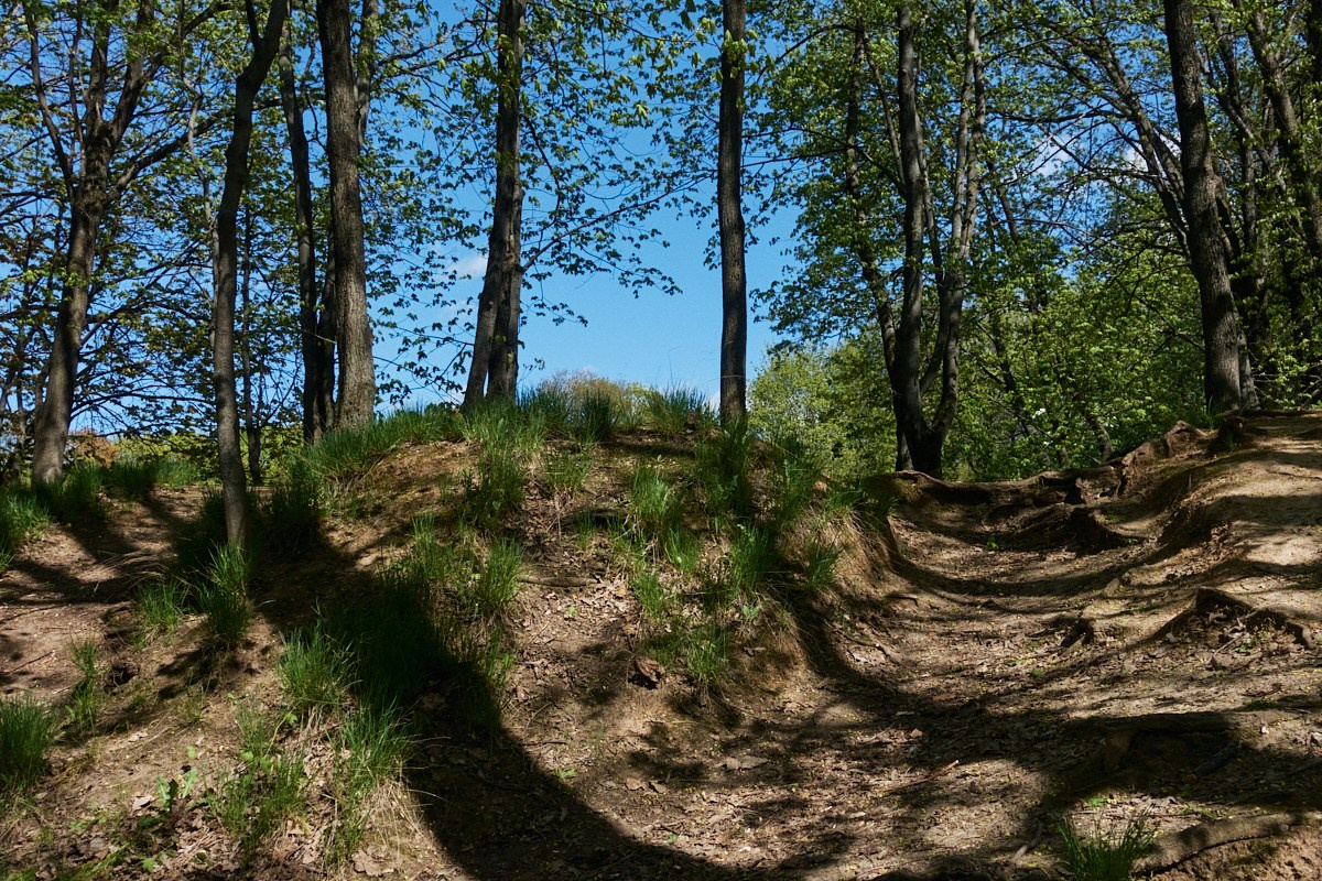 Хорошо голову не потерял. Иван Кобяков