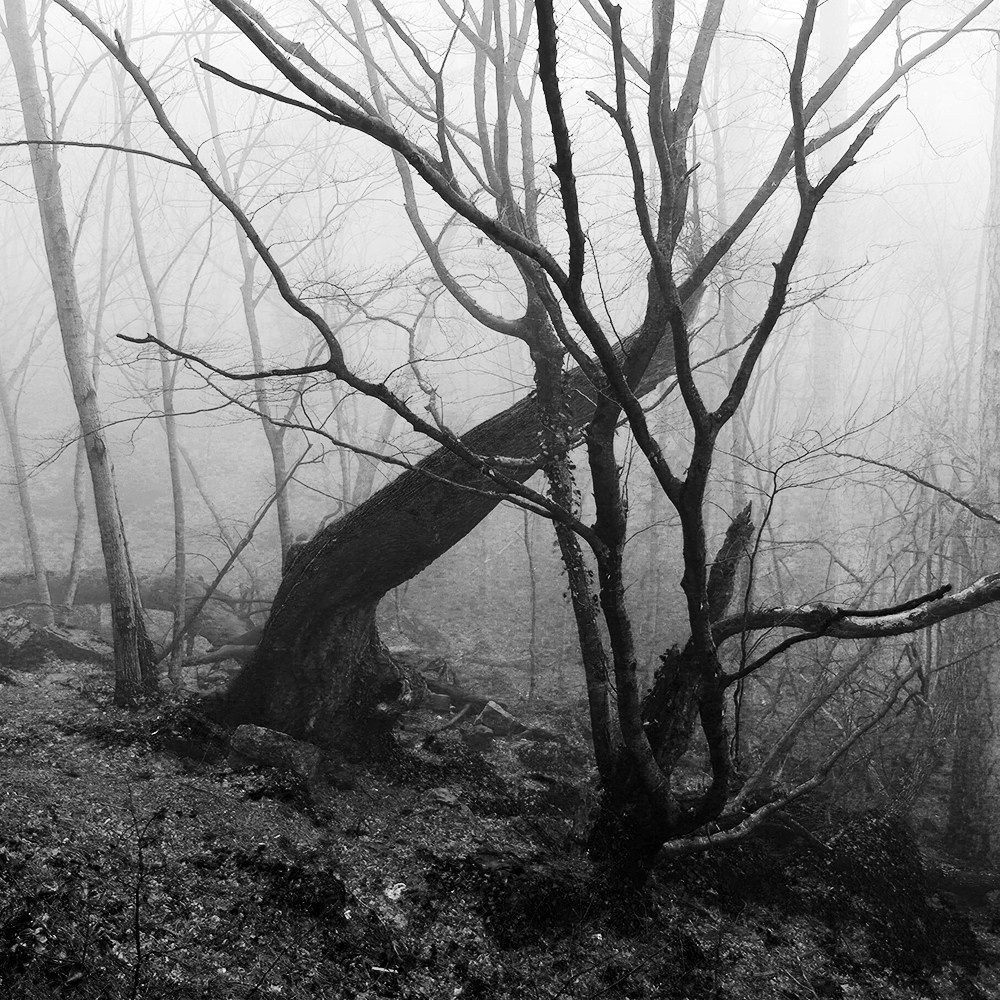 Landscape. Vasiliy Riabovol – Fine Art Photography | Zeit, Raum und Stille