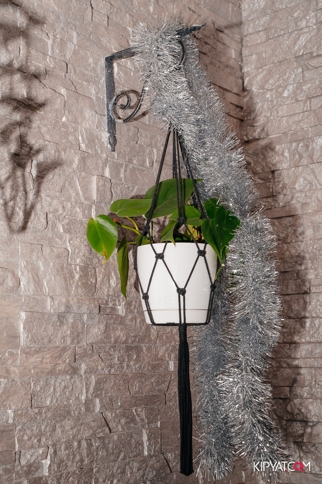 УХО И МЕДВЕДЬ НА ГАГАРИНА. КИПЯТКОМ АЛМАТЫ!