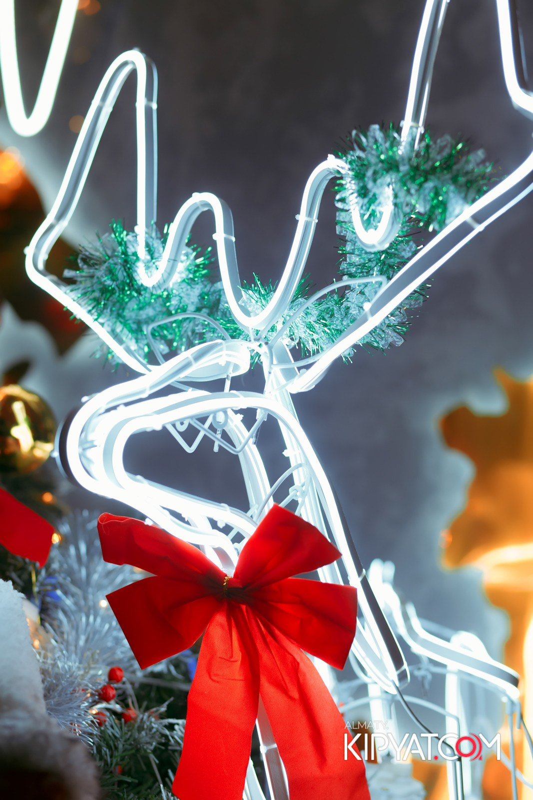 УХО И МЕДВЕДЬ НА САИНА. КИПЯТКОМ АЛМАТЫ!