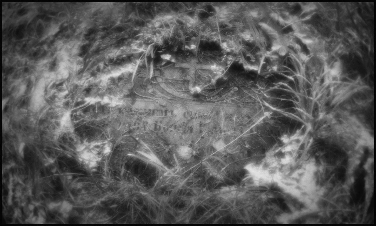 Старое кладбище. г. Онега, Архангельская область. 2025 г.