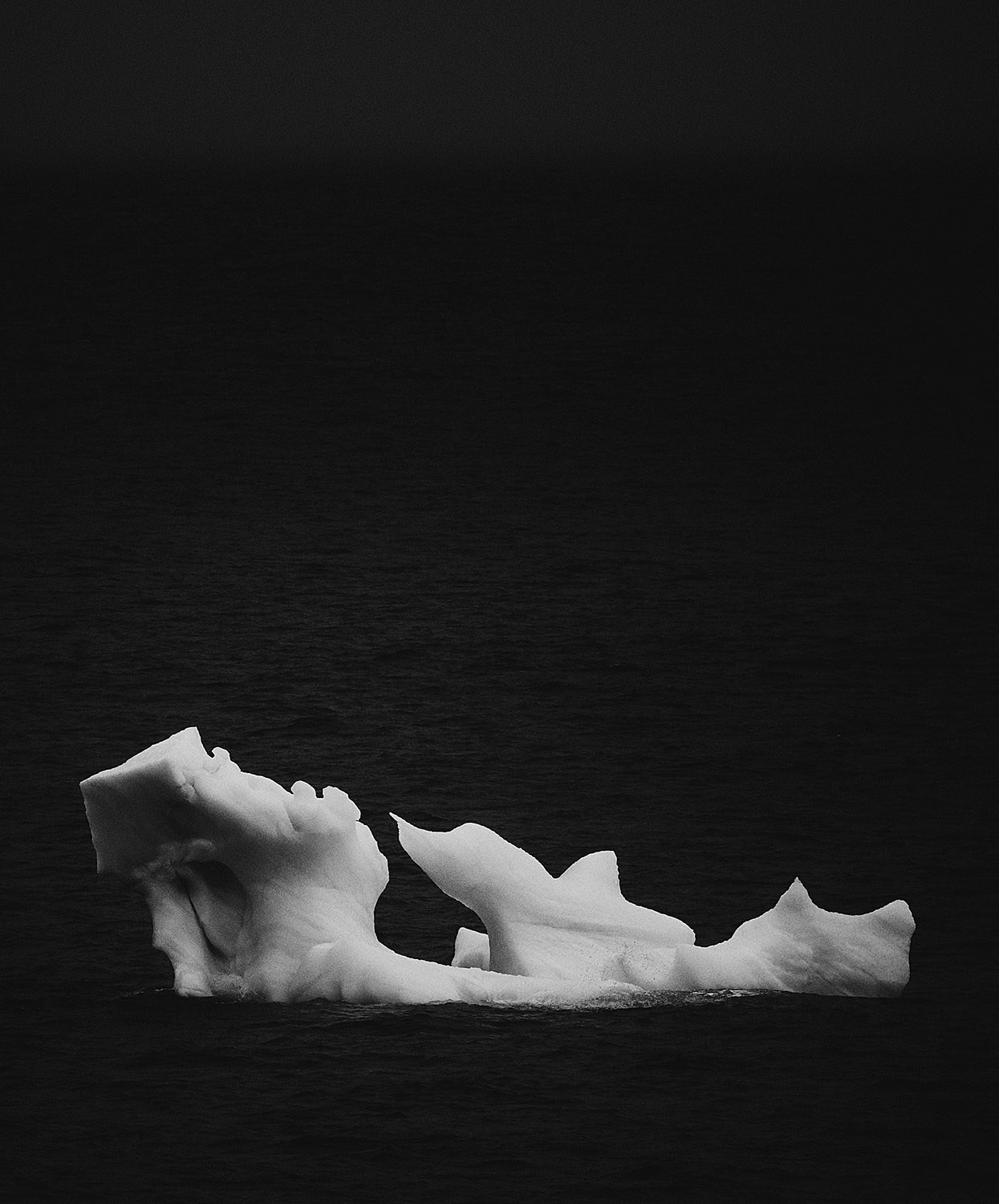 Учебник фотографии. Международная онлайн-фотошкола Сергея Рожнова