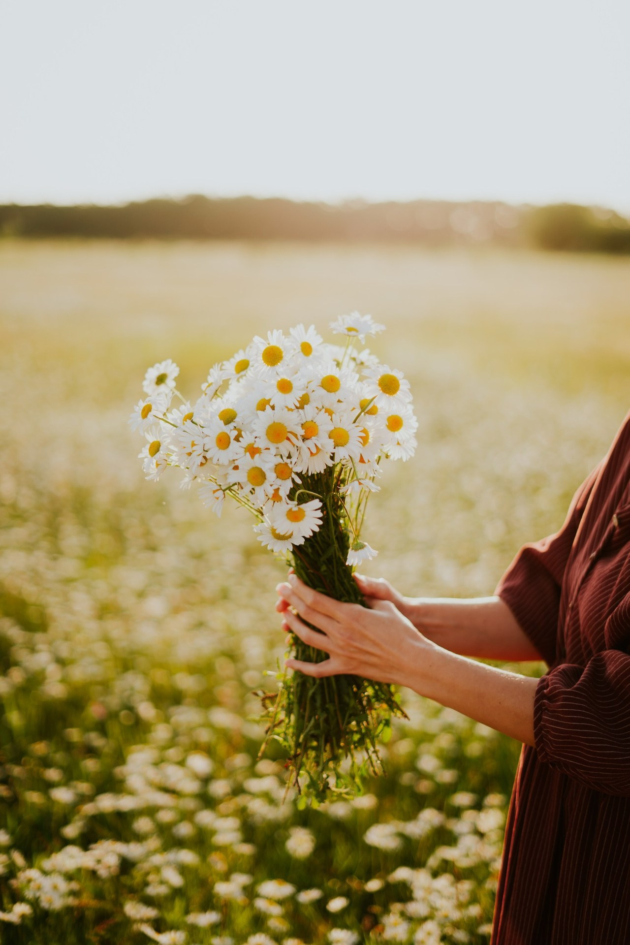 ОТЗЫВЫ. Елена Луковская. Семейная, портретная, репоражная съёмка