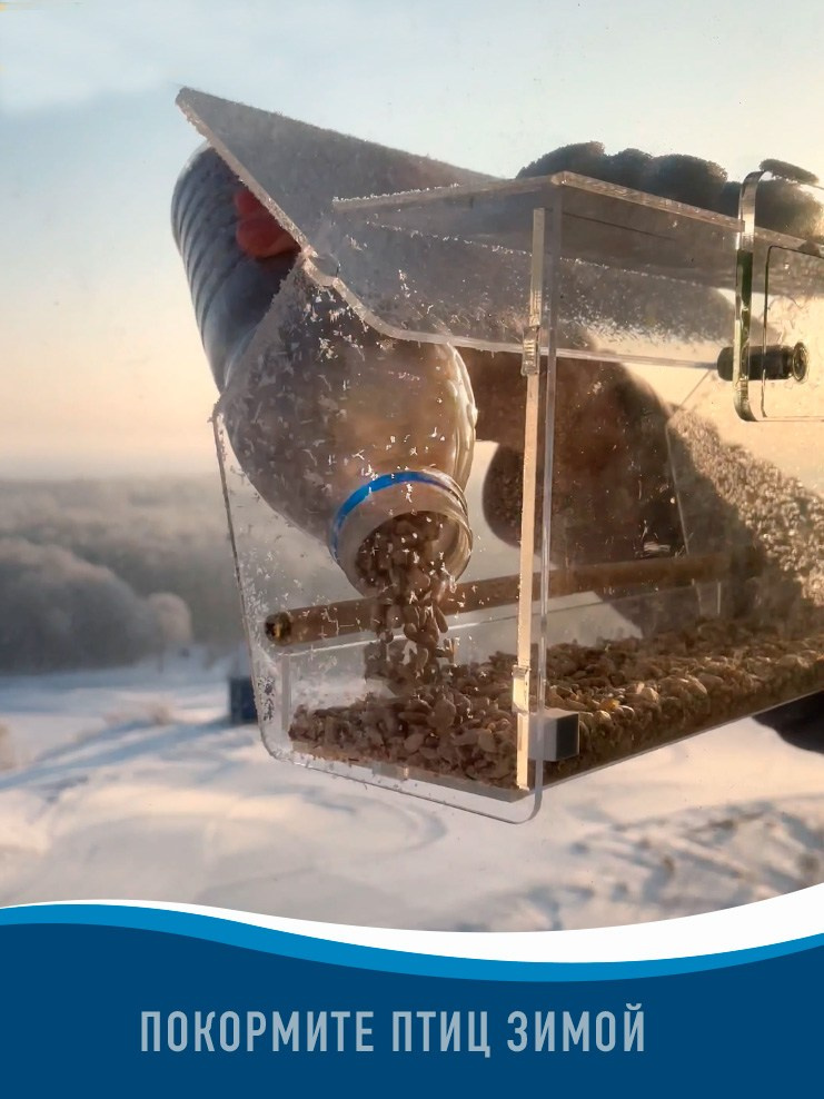 СИМПЛ. Кормушки для птиц на окно Чирик-Чирик