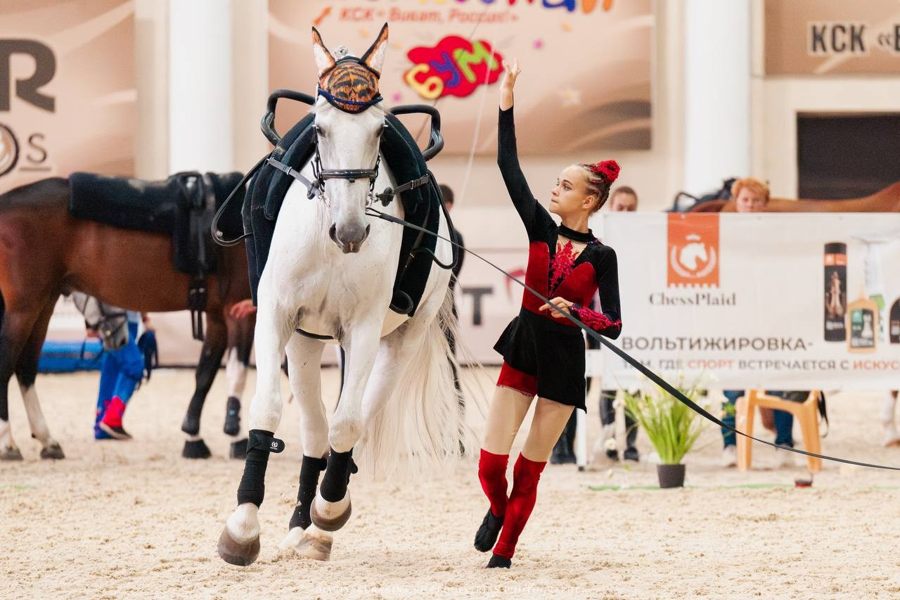 ВОЛЬТИЖИРОВКА — ЧЕМПИОНАТ СНГ. Куракина Дарья • Конный фотограф