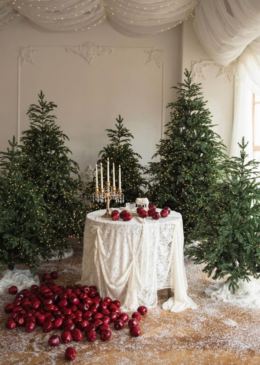 Новогодняя фотостудия. Фотограф Анастасия Малашенко, Новосибирск