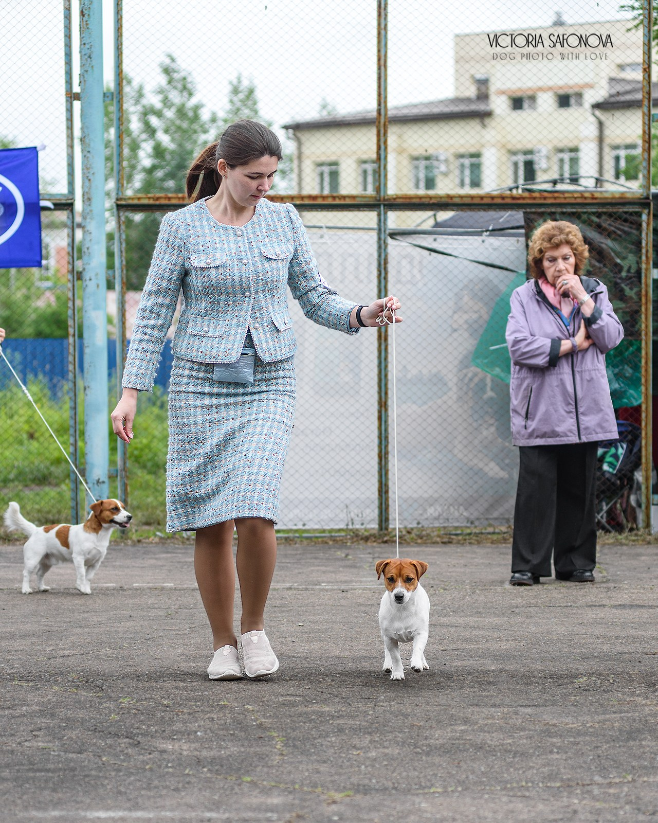 15 июня 2024 Биробиджан. Фотограф анималист Благовещенск. Сафонова Виктория