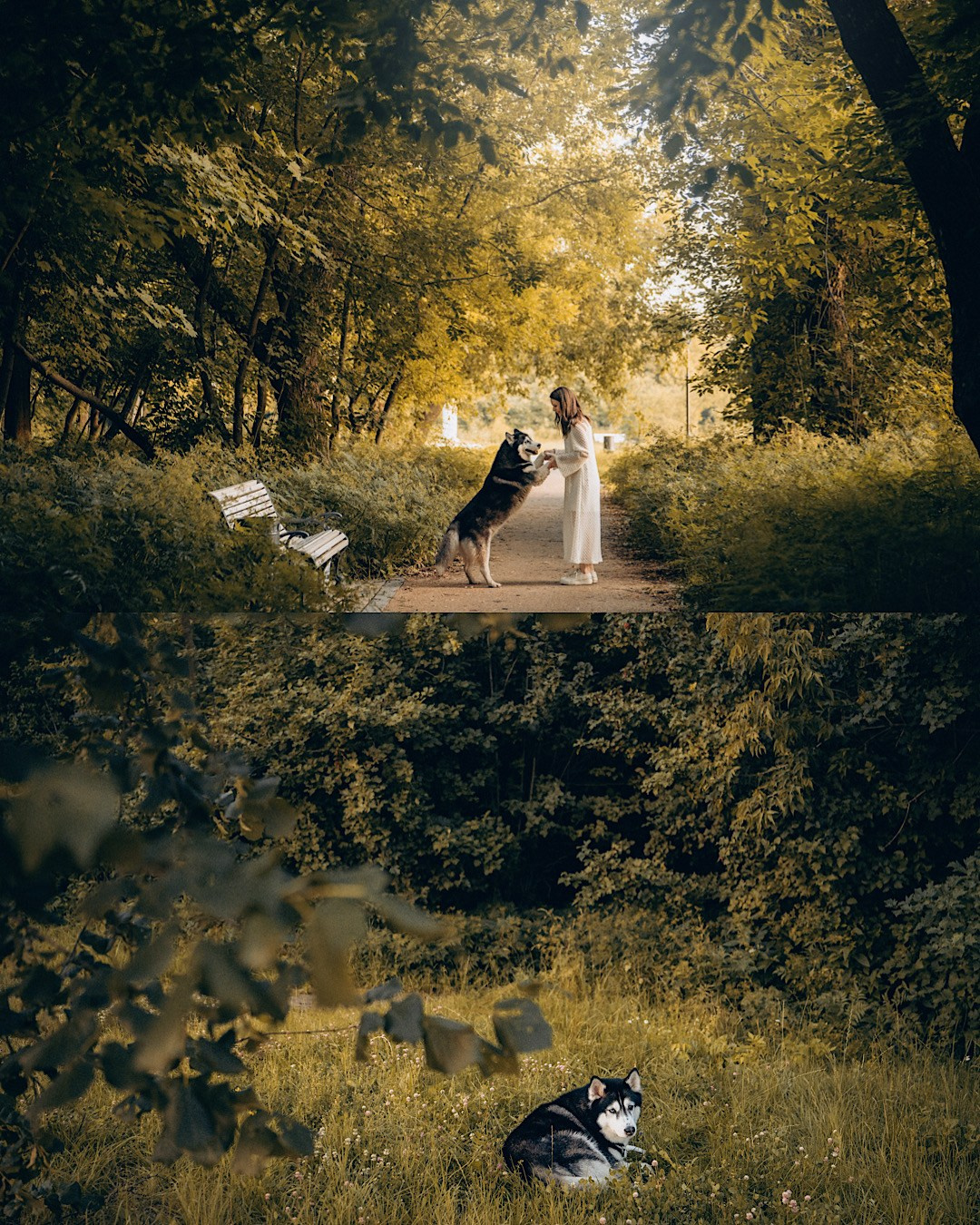 Мария и Вегас. Фотограф анималист в Москве и Санкт-Петербурге Свиридова Анна