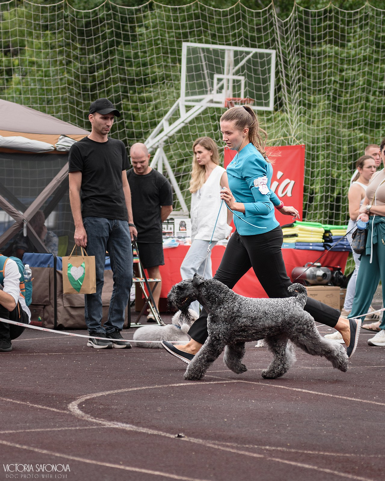 10 августа 2024. Благовещенск. Фотограф анималист Благовещенск. Сафонова Виктория
